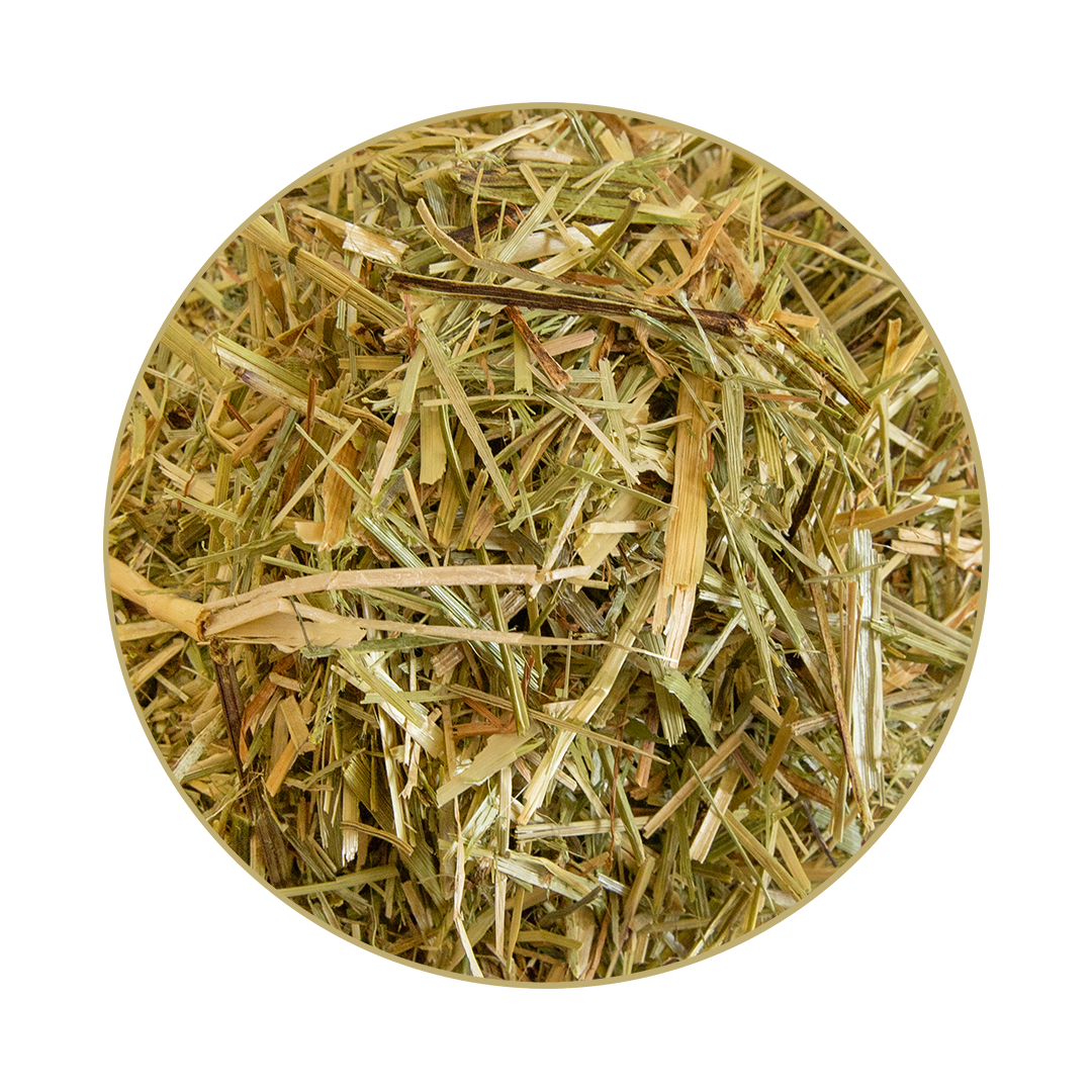 St.Hippolyt Glyx Wiese Luzerne Mix 15kg