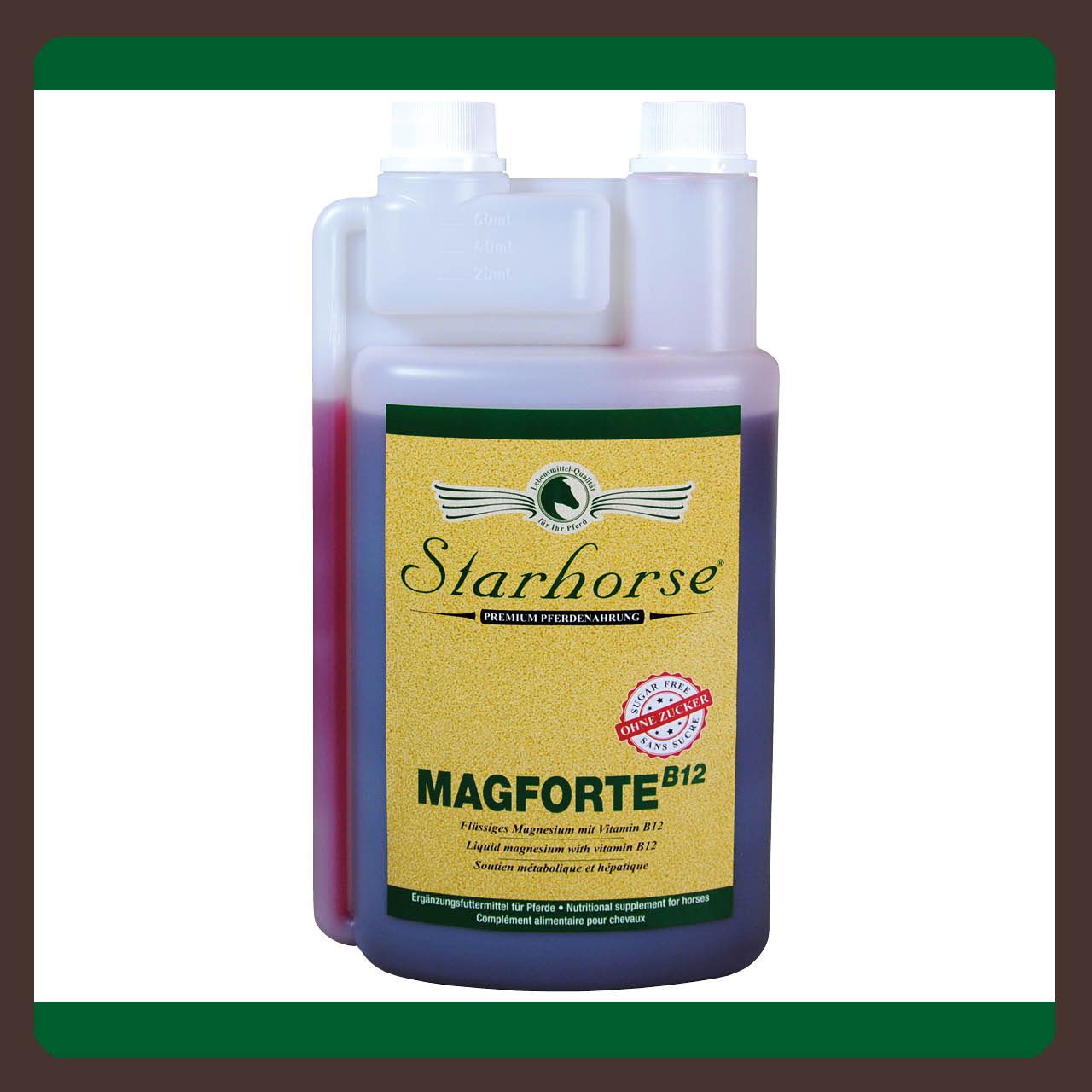 Starhorse MagForte B12