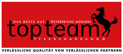 topteam topteam
