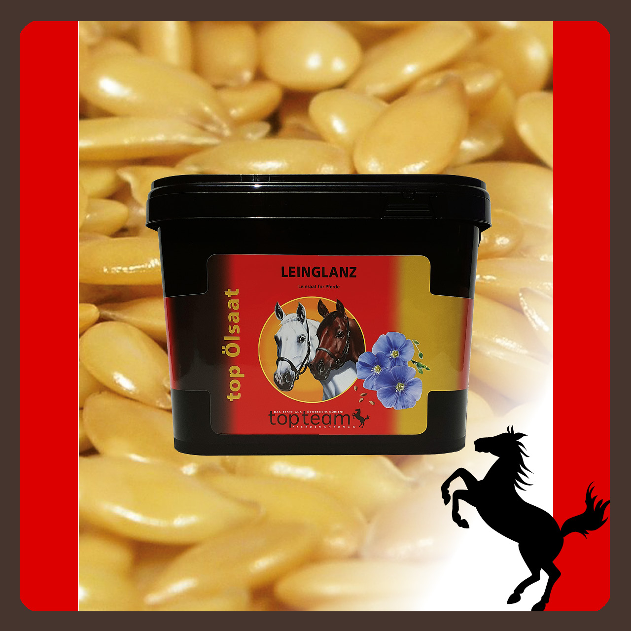 top Leinglanz 5kg topteam top Leinglanz