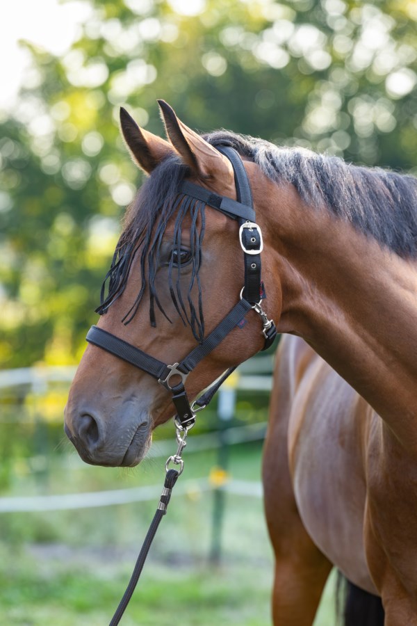KERBL Fliegenfransen mit Velcro-Verschluss Warmblut