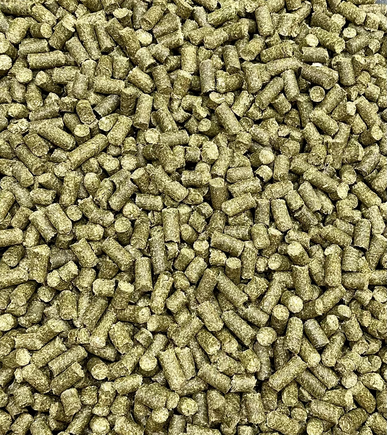 topteam BIO Esparsette Cobs 25kg 