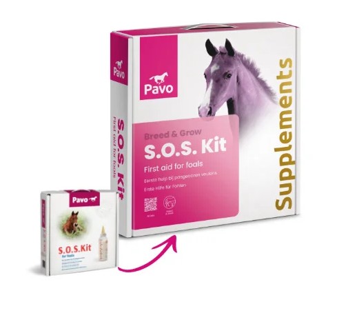 Pavo SOS-Fohlen-Paket