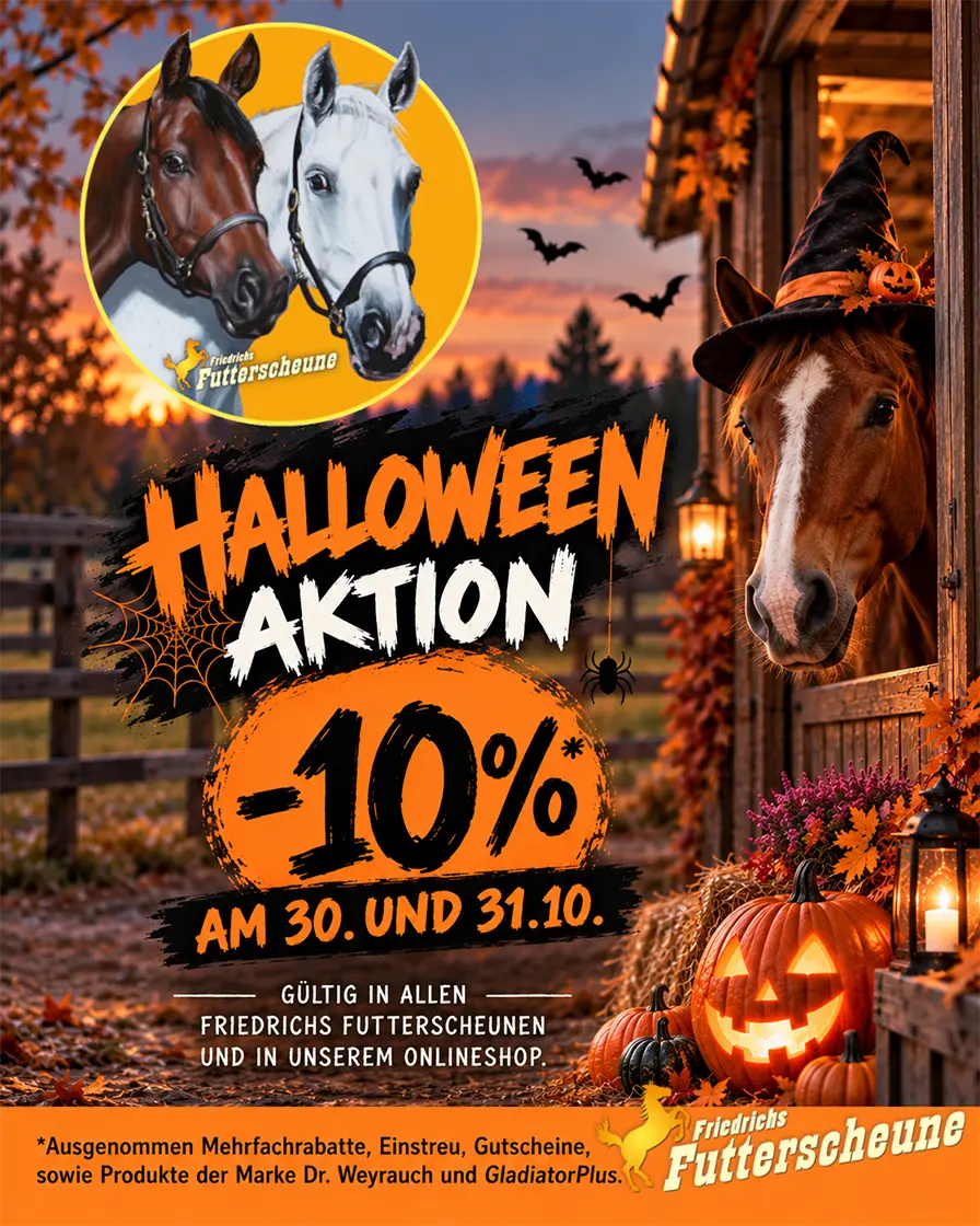 -10% zu Halloween