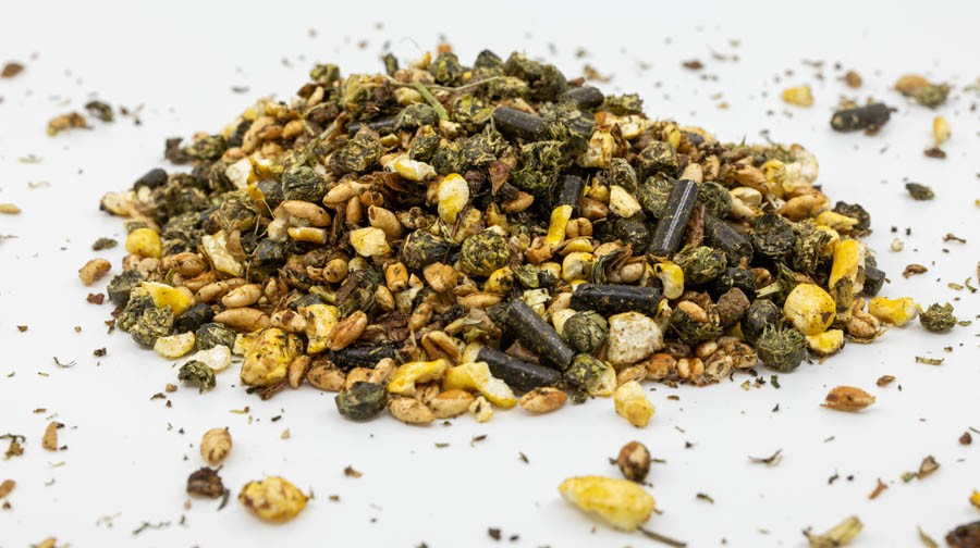 Fixkraft Elité Senior 20kg