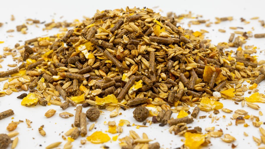 Fixkraft Elité Zucht Müsli 25kg