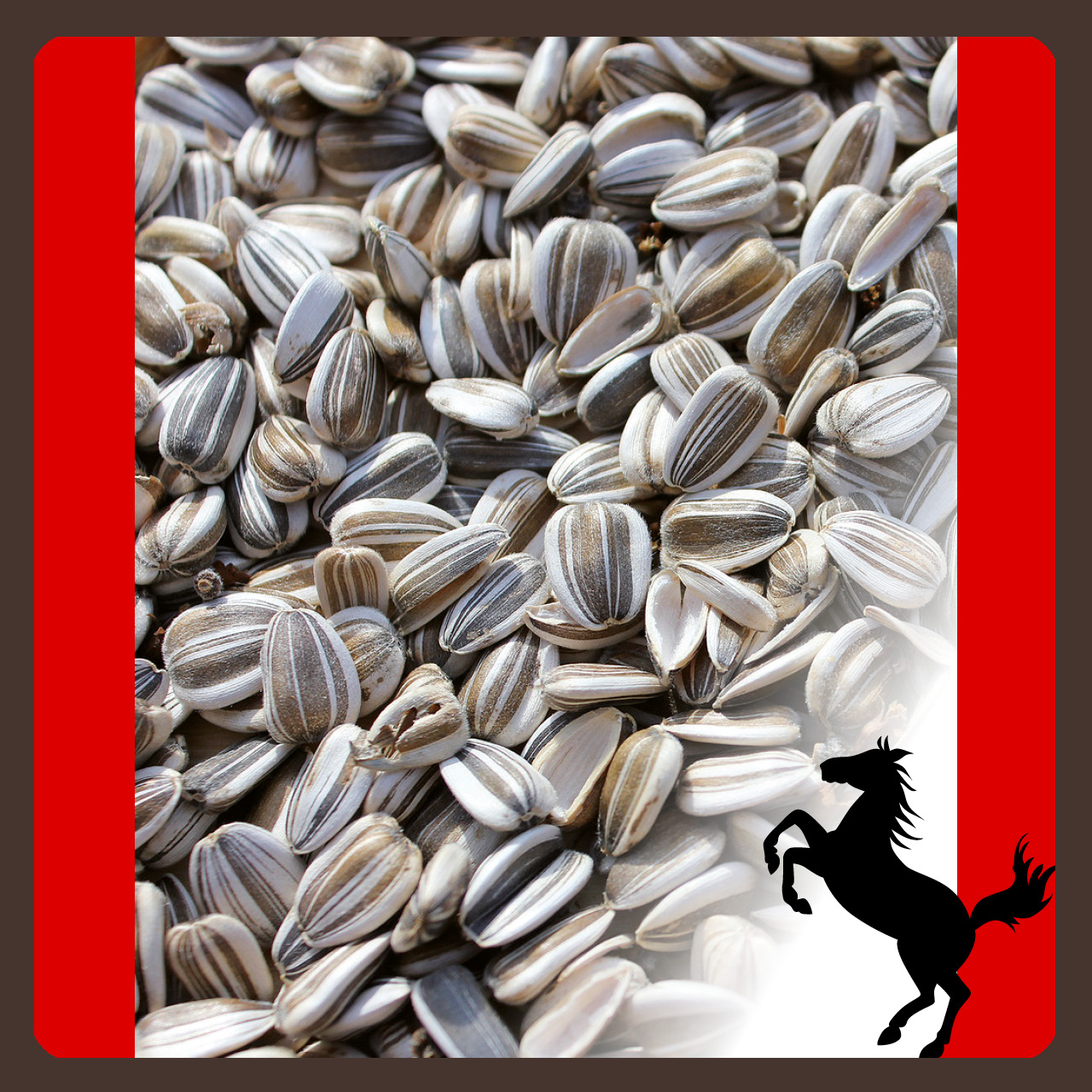 top Sonnenblumenkerne 20kg topteam top Magen-Darm Schutz