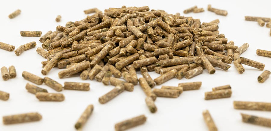 Fixkraft Elité Gastro Balance 25kg