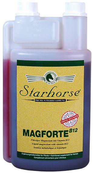 Starhorse MagForte B12