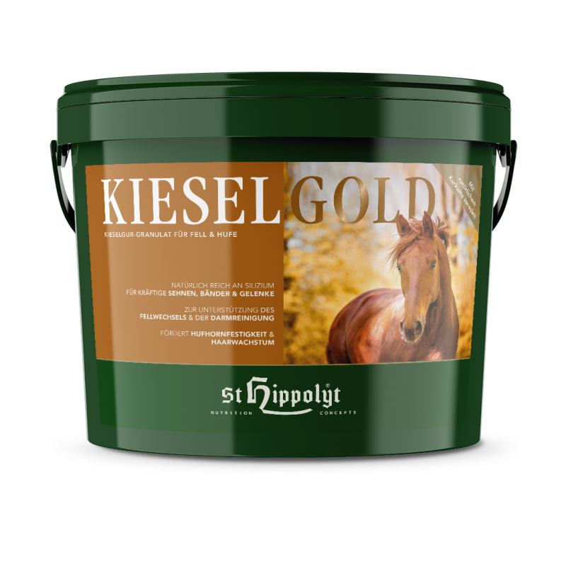 St. Hippolyt Kieselgold 10kg