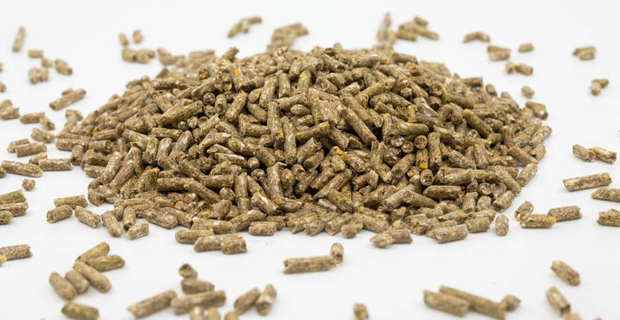 Fixkraft Elité Kompakt Alpha 25kg BIO