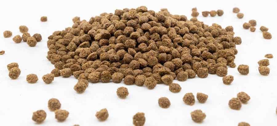 Fixkraft Elité Leinsaat extrudiert 15kg