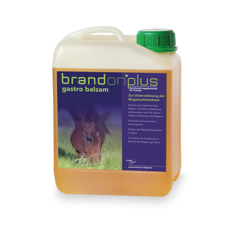 St. Hippolyt BrandonPlus Gastrobalsam 2,5l