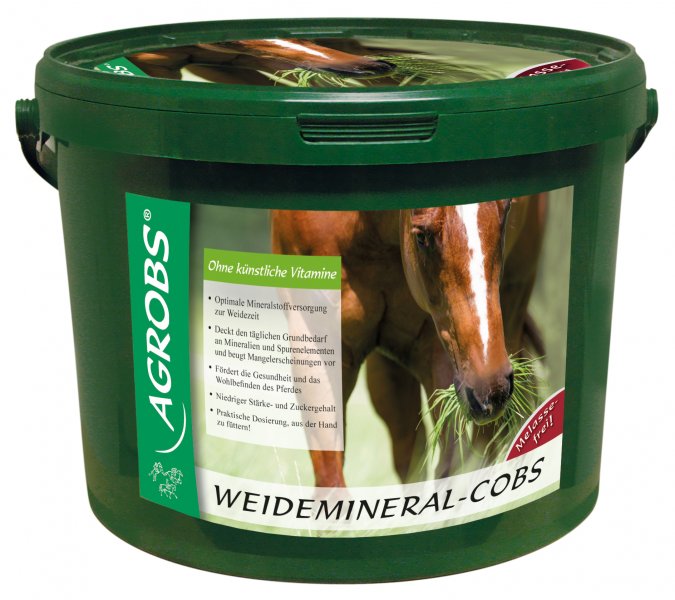 Agrobs Weidemineral-Cobs 3kg