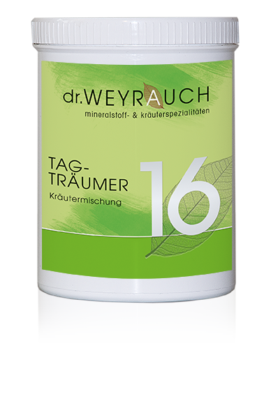 Tagträumer Nr. 16