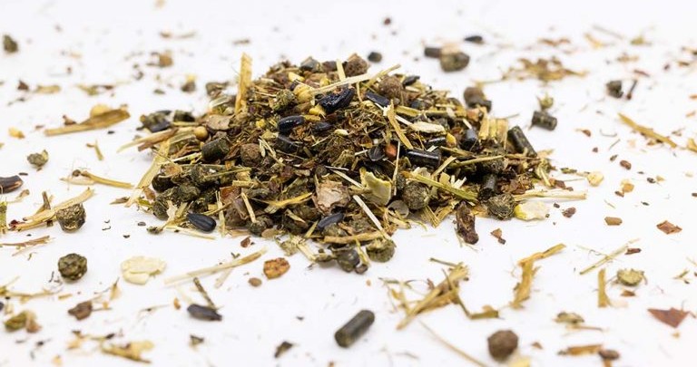 Fixkraft Elité Balance Gastro Prebiotik 20kg