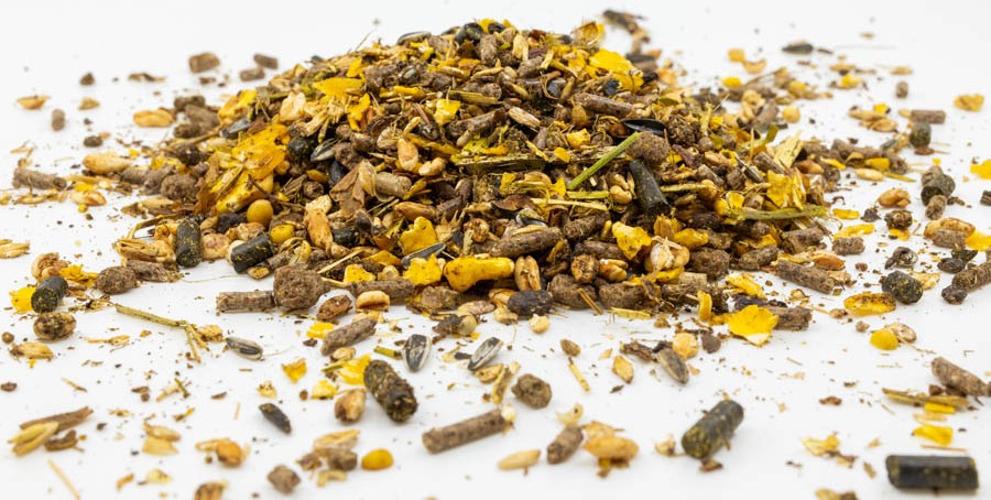 Fixkraft Elité Balance Sport 20kg