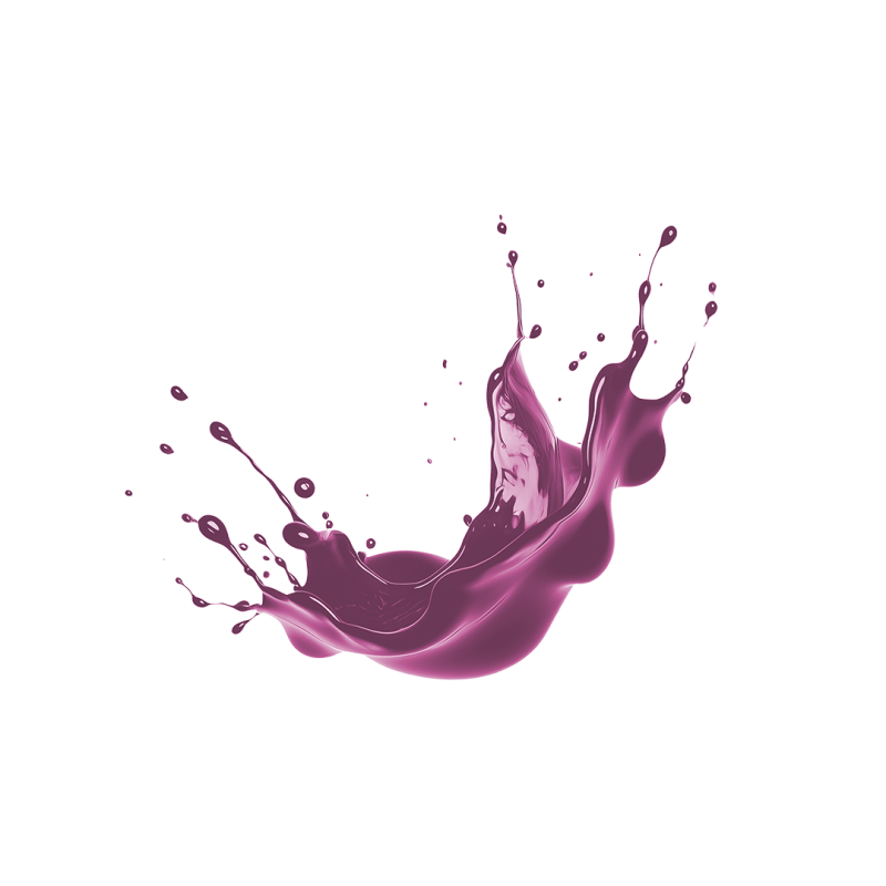 St. Hippolyt HestaPlus Mangan Liquid 1l